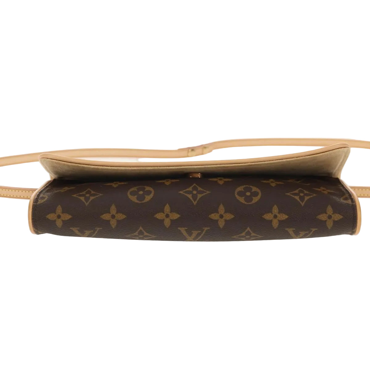 LOUIS VUITTON monogram pochette twin GM shoulder bag
