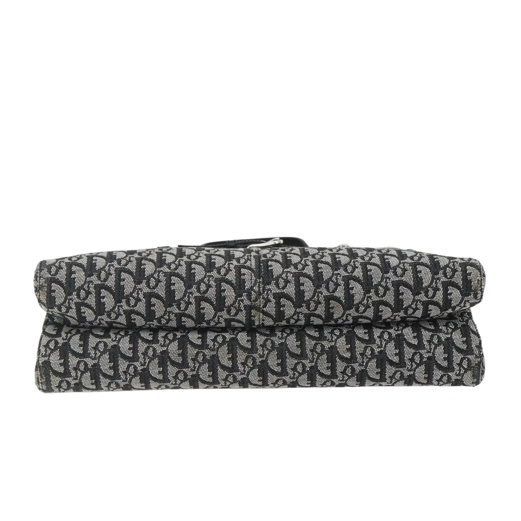 Christian Dior trotter canvas hand bag