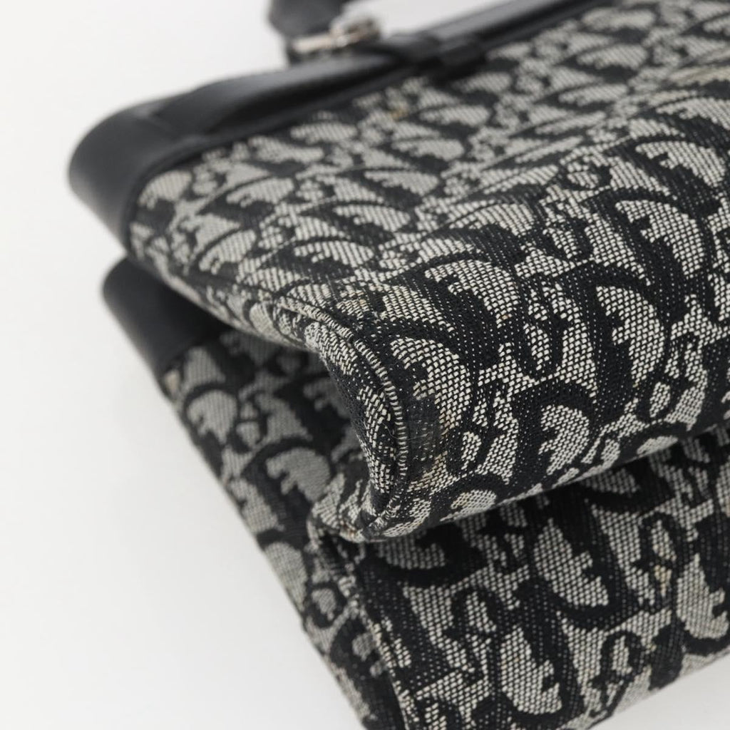 Christian Dior trotter canvas hand bag