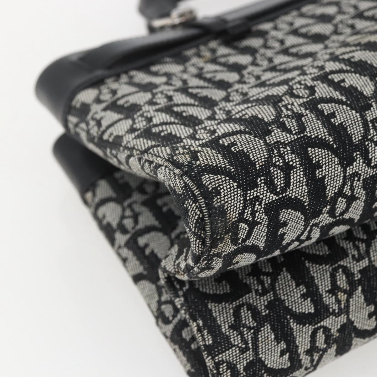 Christian Dior trotter canvas hand bag