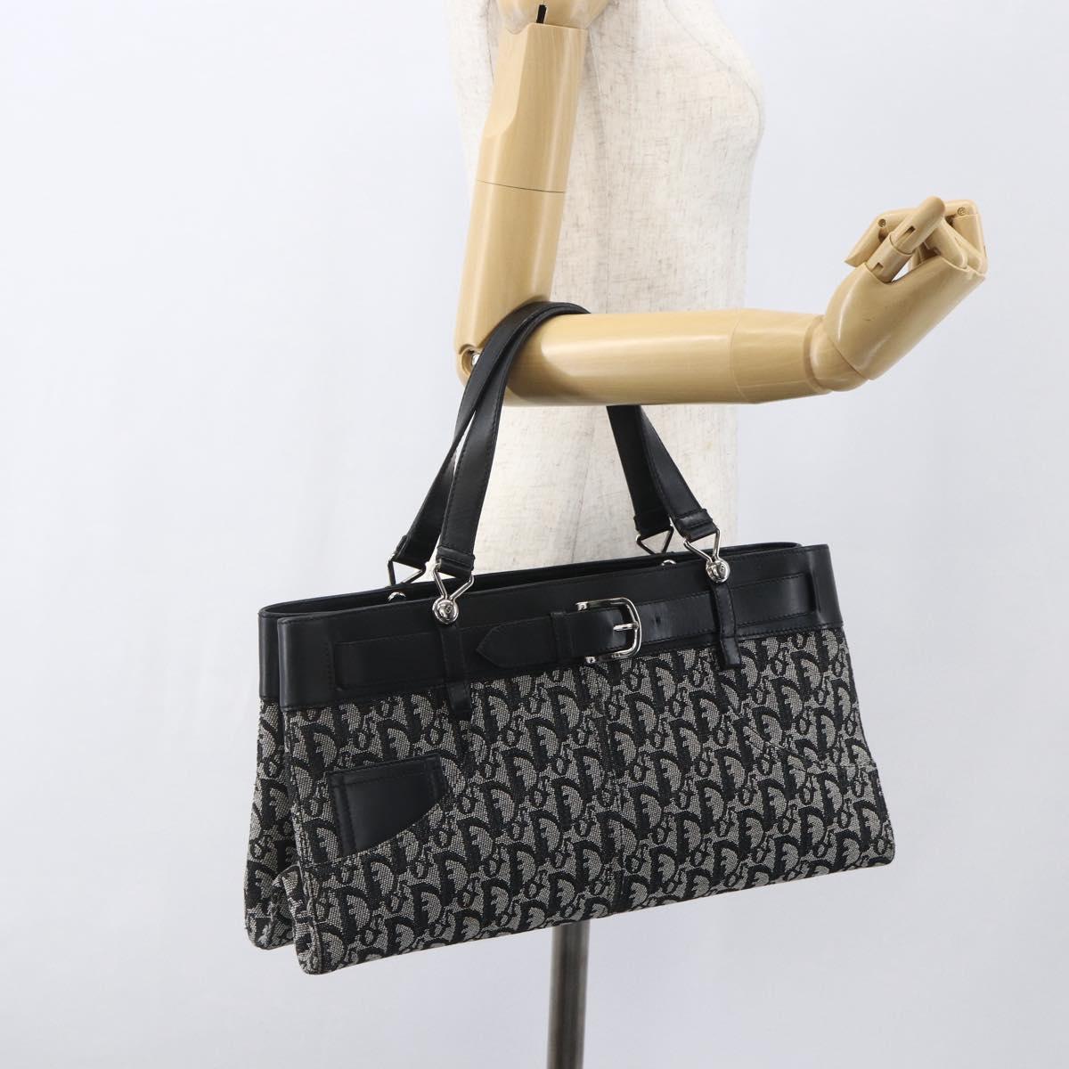 Christian Dior trotter canvas hand bag