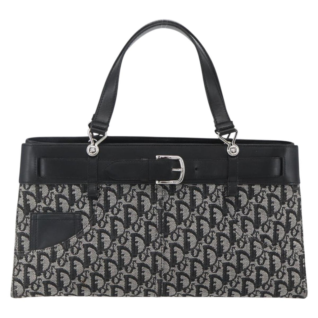 Christian Dior trotter canvas hand bag