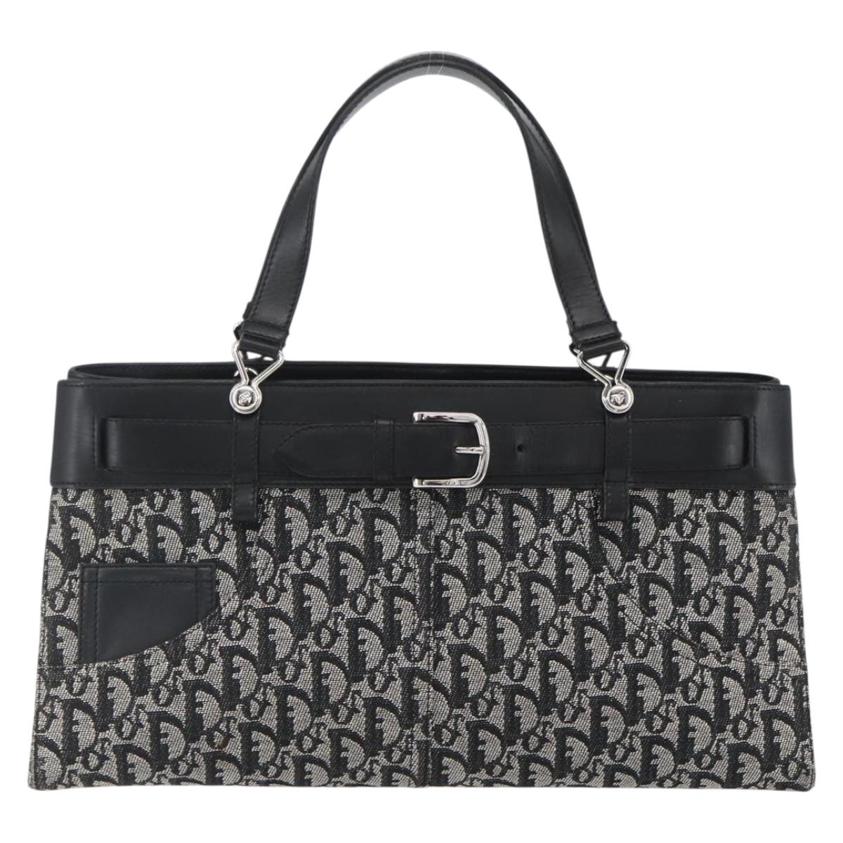 Christian Dior trotter canvas hand bag