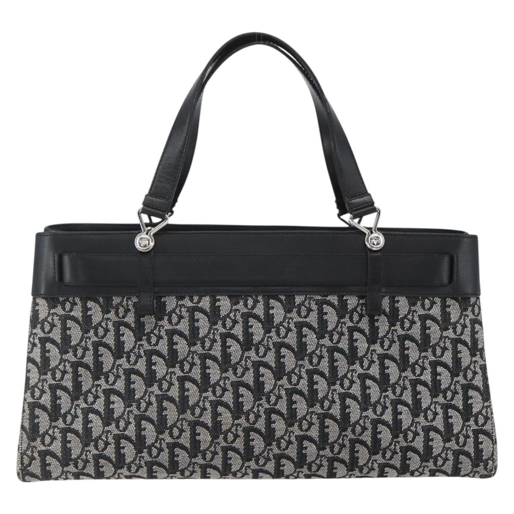 Christian Dior trotter canvas hand bag