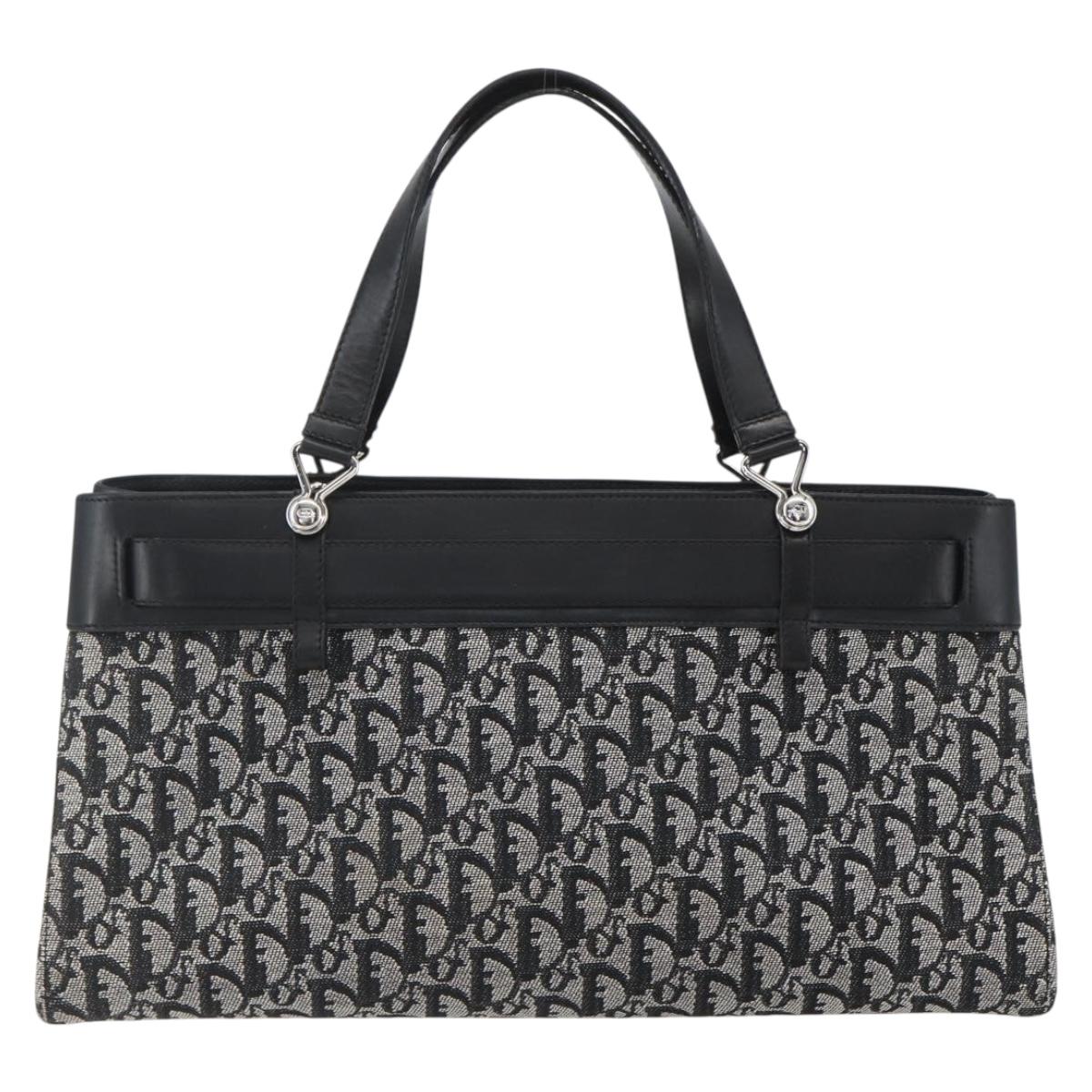 Christian Dior trotter canvas hand bag