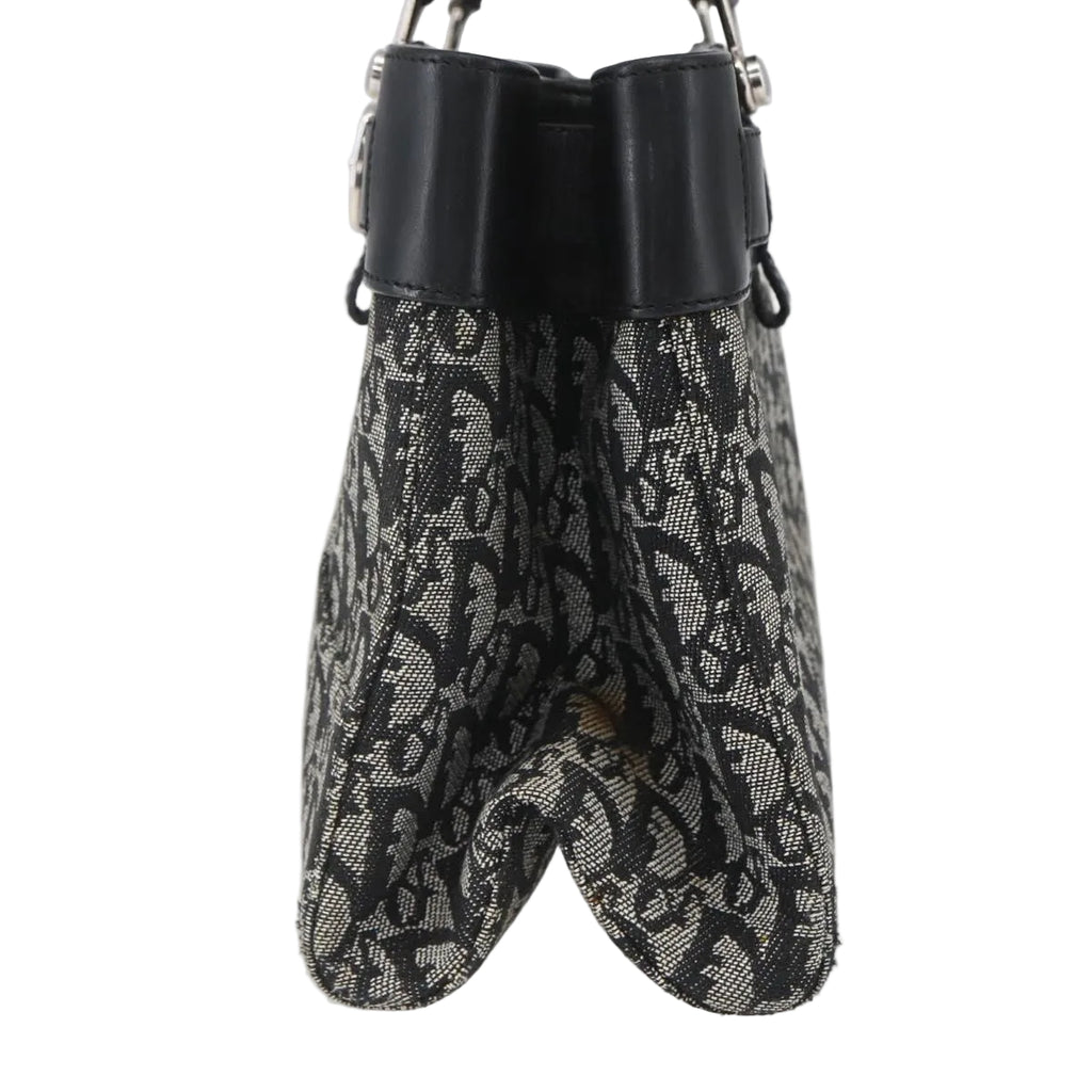 Christian Dior trotter canvas hand bag