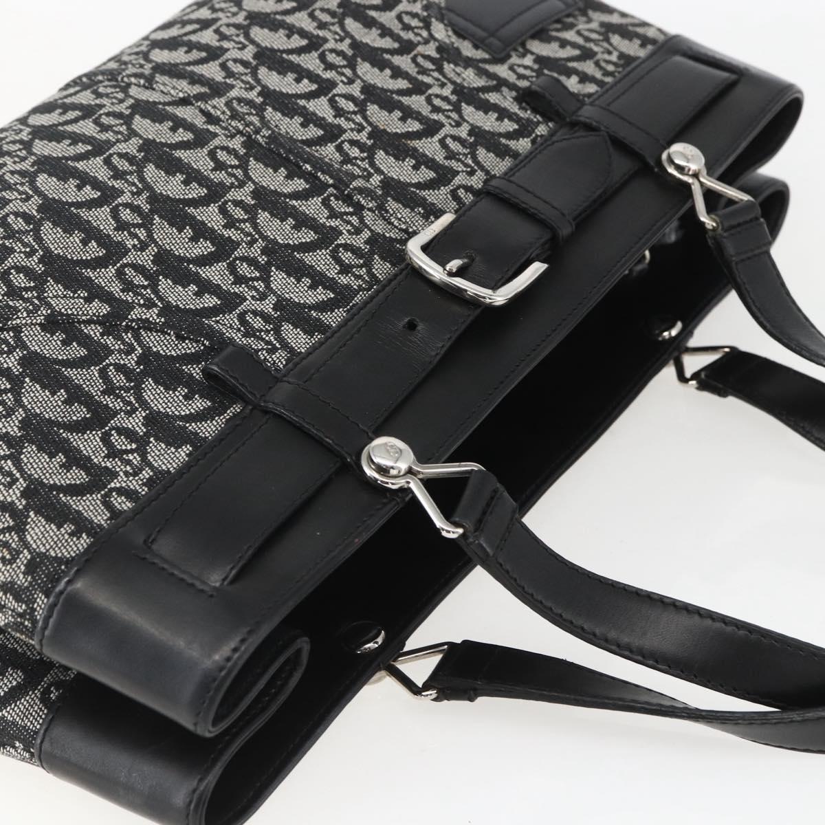 Christian Dior trotter canvas hand bag