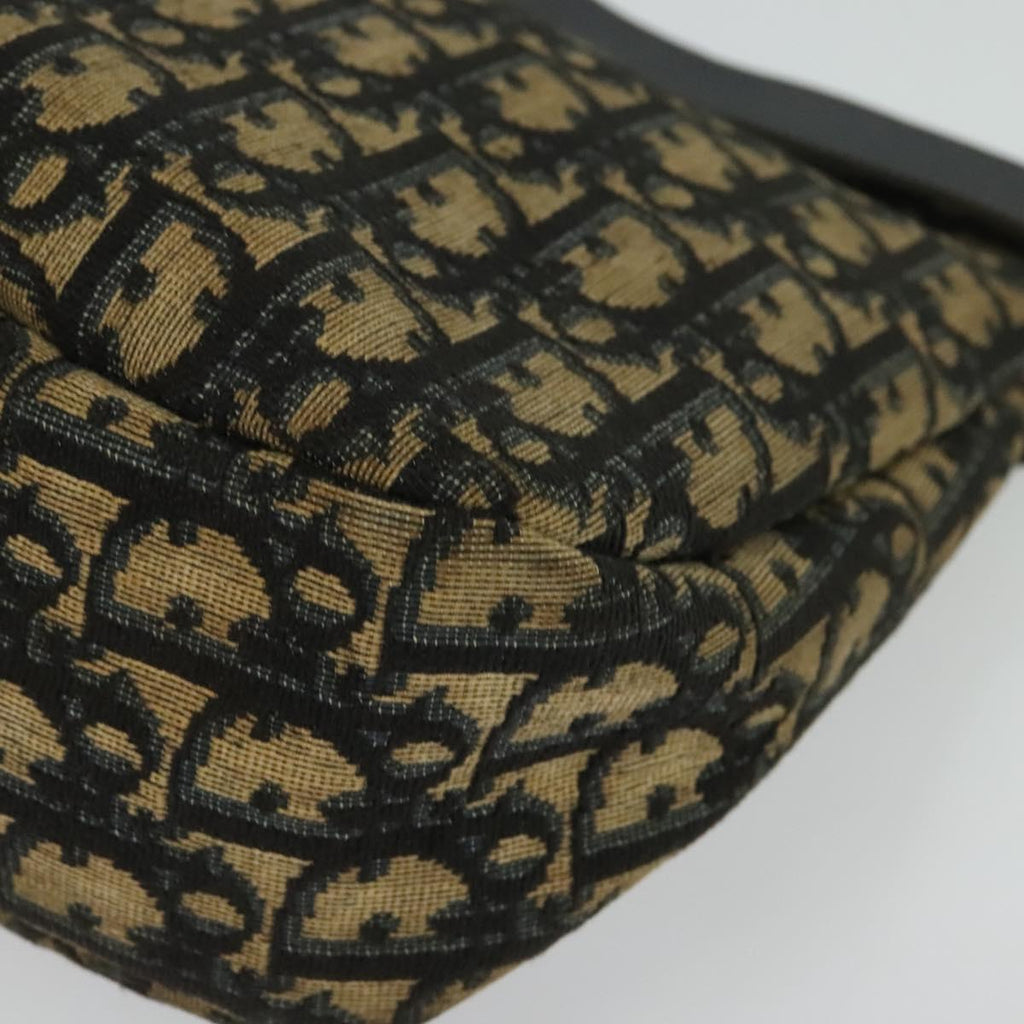 Christian Dior trotter canvas shoulder bag